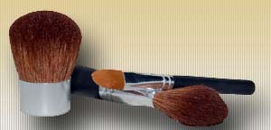 PROFESSIONAL BRUSH KIT (1 EA 3 BRUSHES) - More Details
