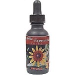 R-Garden Artistic Expression Essence - More Details