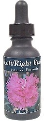 R-Garden Left/Right Brain Essence