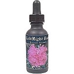 R-Garden Left/Right Brain Essence - More Details