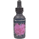 R-Garden Procrastination Essence - More Details