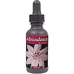 R-Garden Abundance Essence - More Details