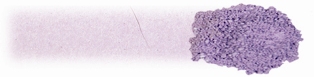 BUCKINGHAM� EYE SHADOWS .8 GRAMS - More Details