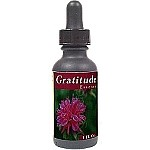 R-Garden Gratitude Essence - More Details