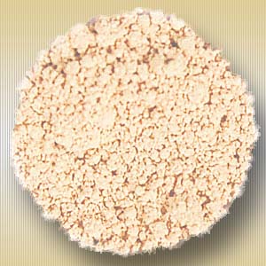 LIGHT CONCEALER 1 GRAM
