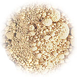 SOPHISTICATED� FOUNDATION 6 GRAMS - More Details