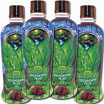 Cocogevity PLUS - 32 oz Case of 4 - More Details
